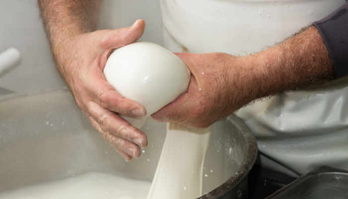 elaboracion mozzarella